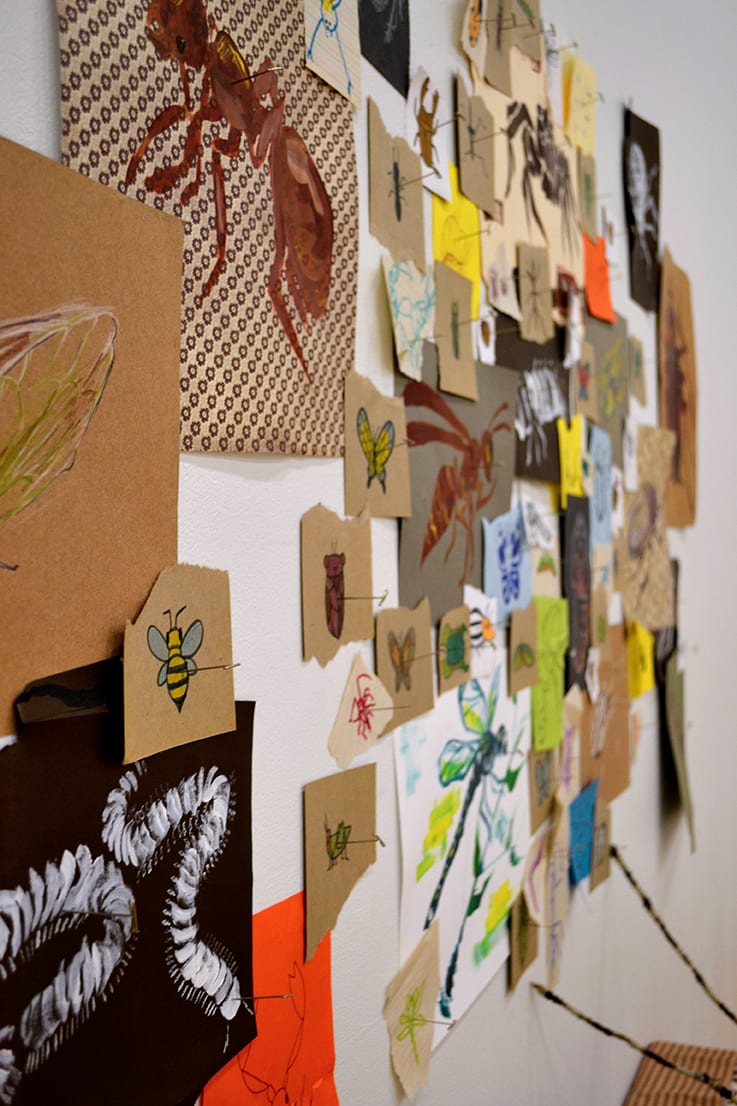Paintings and drawings of bugs cover the wall.