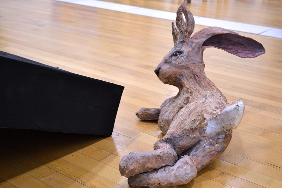 A jack rabbit sits around a domino.