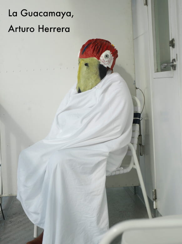La Guacamaya, Arturo Herrera
