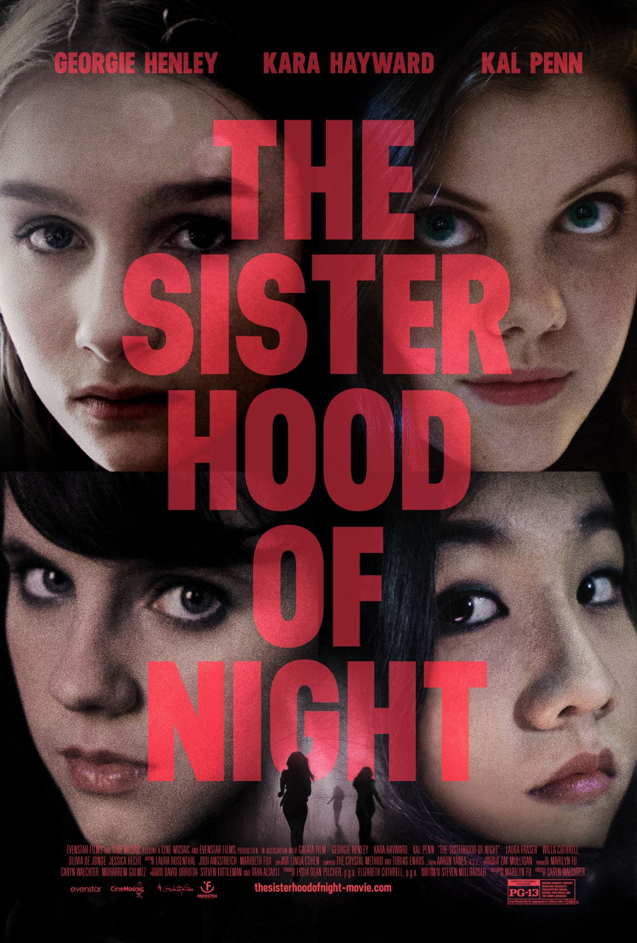 Poster for Sisterhood of the Night.