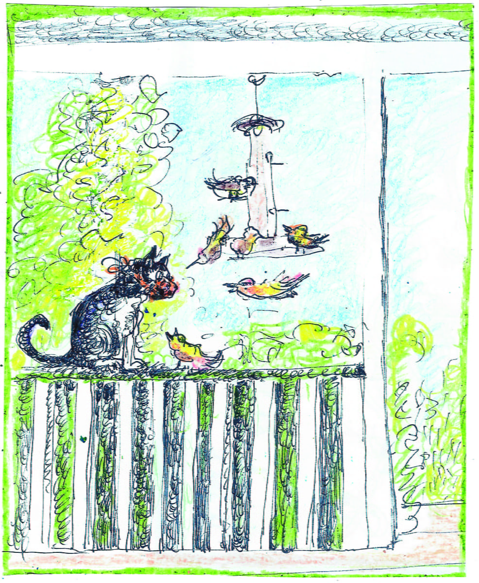 A cat wearing a face mask sits with birds feeding at a feeder.