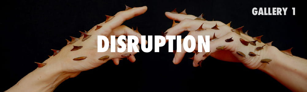 Click here to enter the Disruption Gallery.