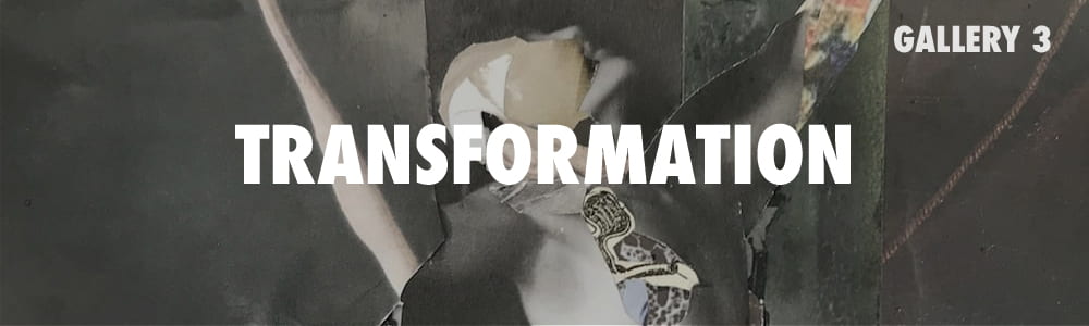 Click here to enter the Transformation Gallery.