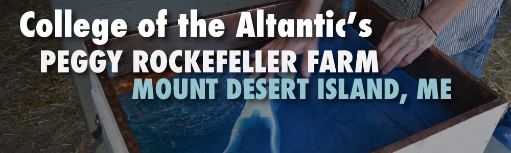 Click here to enter the College of the Atlantic's Peggy Rockefeller Farm.