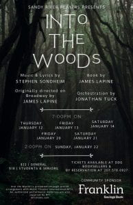 Into the Woods-poster image
