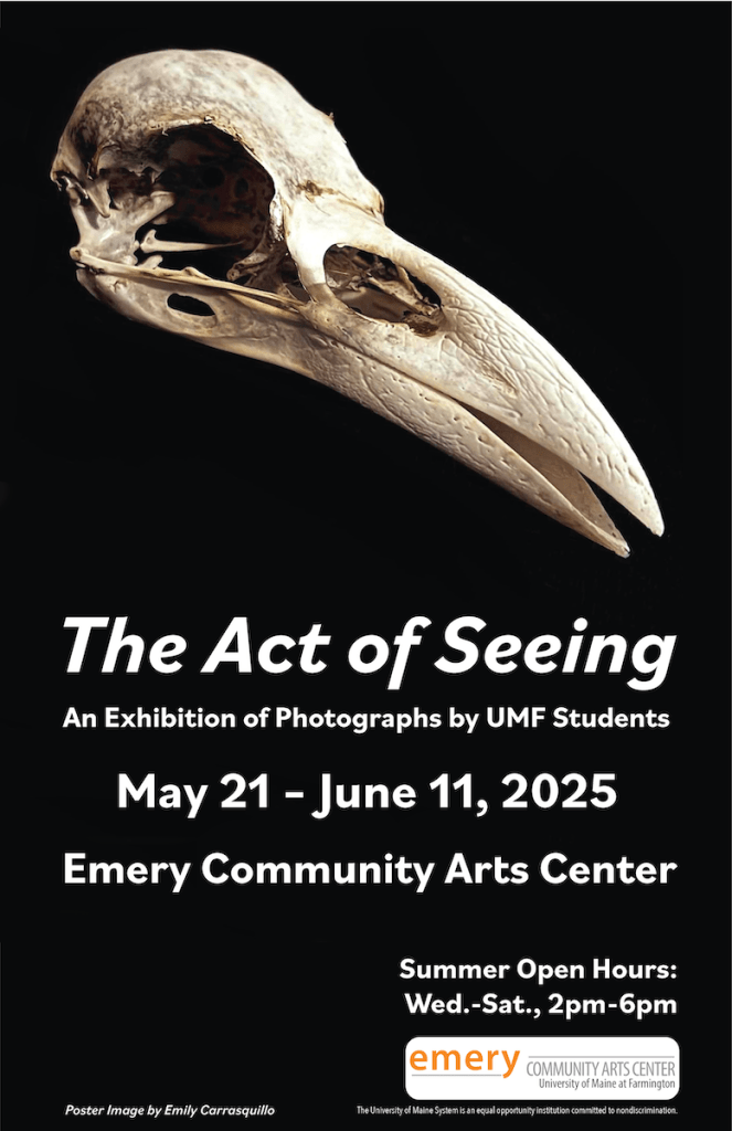 TheActOfSeeing-2025-poster image