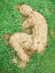 Joshua DeMello, “man…”