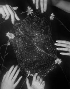 Pia Paulina Guilmoth, “we make a flower”