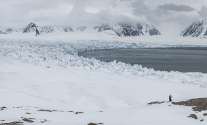 Patricia Brace, “A Sun Without A Sphere (Lilliehöökbreen)”