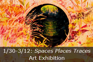 SPT-button image final